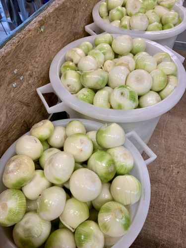 Hoselips